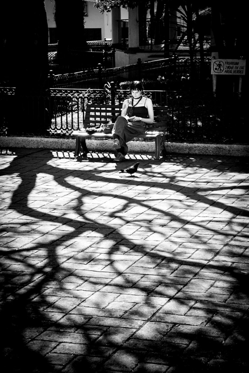 Everyday Surrealism — photograph 5