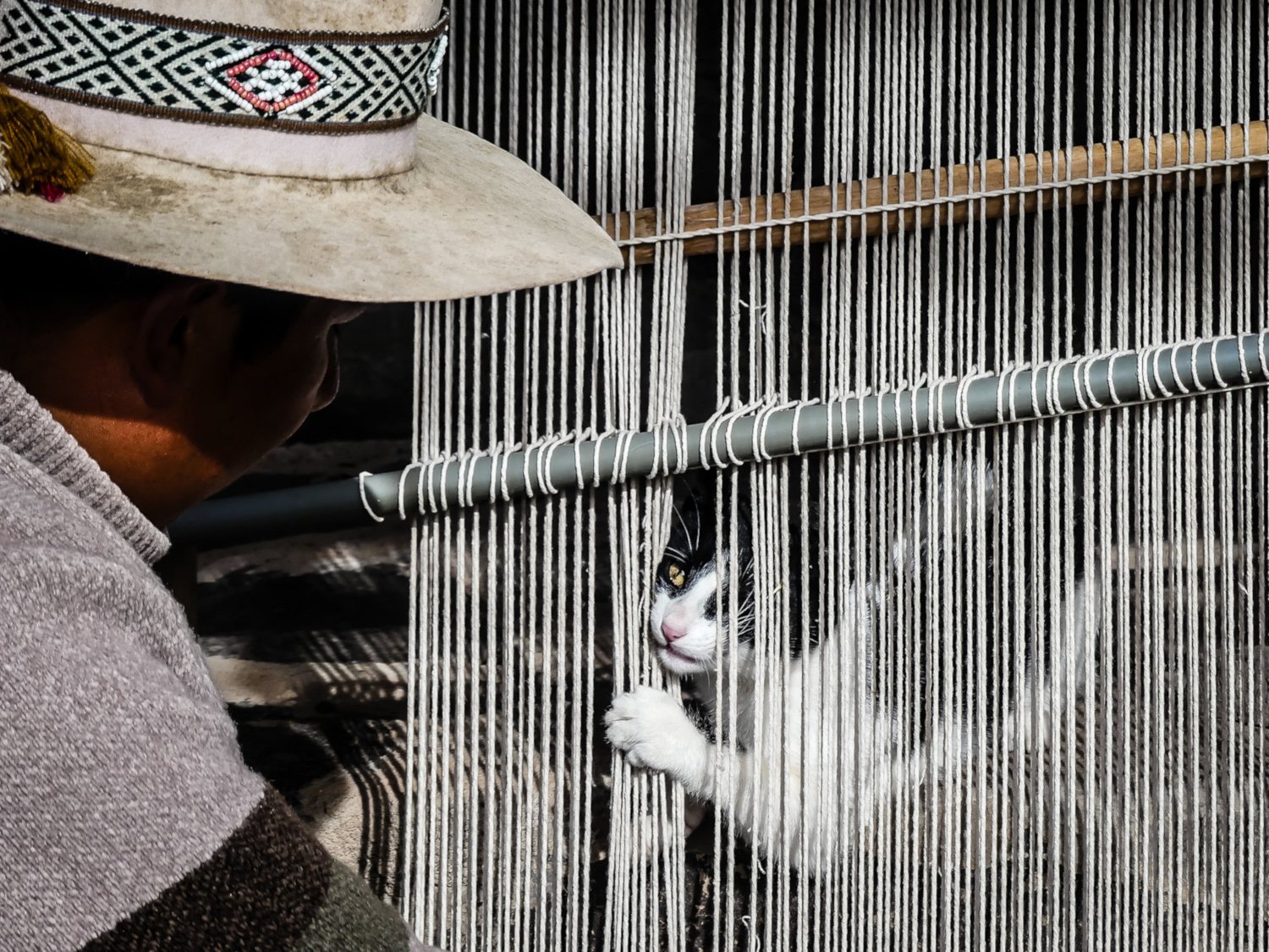 Everyday Surrealism — photograph 10